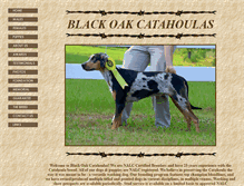 Tablet Screenshot of blackoakcatahoulas.com